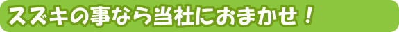 スズキの事なら当社におまかせ！